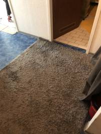 Alte Teppich entfernen, neue Teppich, Laminat , Linolium, PVC verlegen